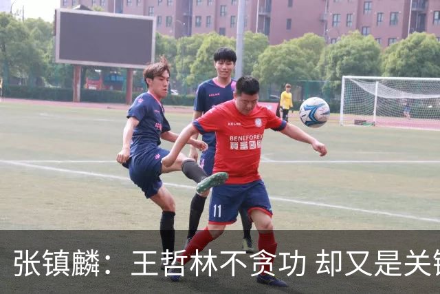 张镇麟：王哲林不贪功 却又是关键时刻能站出来的人 队长当之无愧